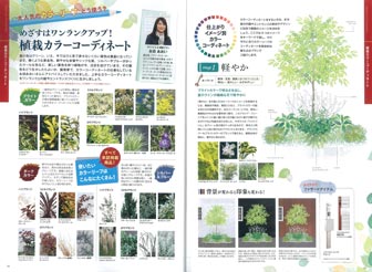 植栽カラーコーディネート特集