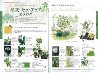 植栽の特集